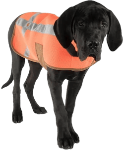 Carhartt Dog Safety Vest