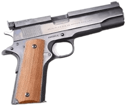 ?++COLT GOVERNMENT MODEL .45 AUTO?
