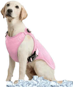Kuoser Dog Cooling Vest