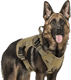 rabbitgoo Tactical No Pull Dog Harness Medium Large Dog with Metal Buckles MOLLE Panel Breathable Service Pet Vest with Handle Military Matierial Pup