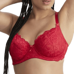 Pour Moi Women's Amour Underwire Lace Bra