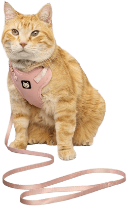 Kitty City Pink Cat Harness & Leash Set