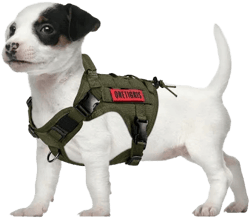 Oneigris dog harness Fire Watcher Tactical dishes molle safety dishes service dog dog vest with 1 handles and 2 no-pull D-ring 1000d nylon (XS green)