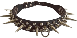 Spiked Collar