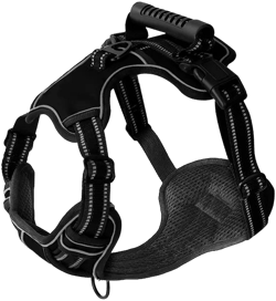 Breathable Reflective Dog Vest