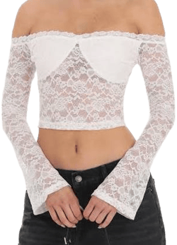 Off Shoulder Sheer Lace Top