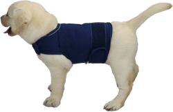 Cattamao Comfort Dog Anxiety Relief Coat