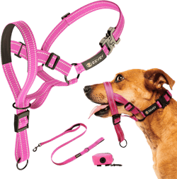 Dog Headcollar with Leash and Safety Strap Stops Heavy Pulling On The Leash Padded Reflective Head Halter for Small Medium Large Dogs Adjustable Head Harness for Training and Walking, (S, Pink)