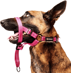 Dog Headcollar with Safety Strap Stops Heavy Pulling On The Leash Padded Reflective Head Halter for Small Medium Large Dogs Adjustable Head Harness for Training and Walking (Pink, L)