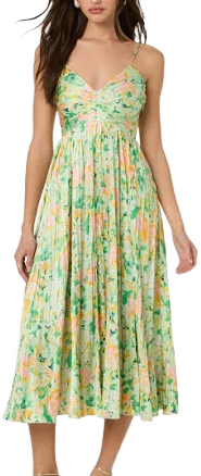 ASTR Women's the Label Maeve Floral Dress