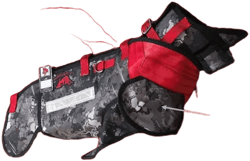 Southern Cross Elite Catch Vest
