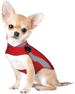 ThunderShirt Dog Anxiety