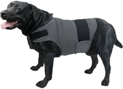 Kittystar Breathable Dog Shirt