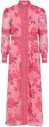 Raishma Women's Aspen Chiffon Maxi Shirt Dress