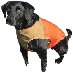Cuga Dog Vest