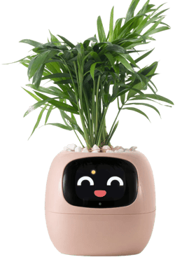 Smart Planter Ivy: AI-Powered Plant Care, Flowerpot Easy and Fun