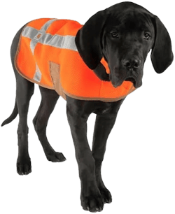 Carhartt Dog Safety Vest