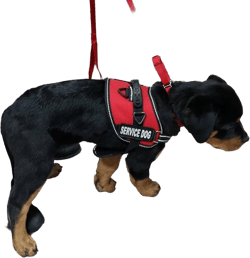 Padded Air-Tech Service Dog Harness Vest