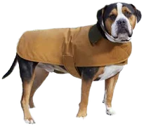 Carhartt Dog Chore Coat