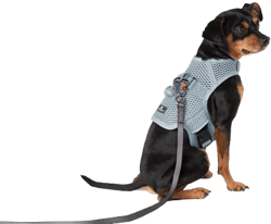 Martingale Calming Harness for Dogs