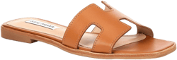 Steve Madden Women's Hadyn