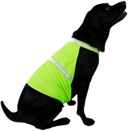 Reflective Dog Vest