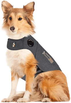 ThunderShirt VET for Dog