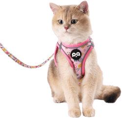 QQPETS Cat Harness and Leash Set for Walking Escape Proof, Safe Adjustable Kitten Vest with Reflective Strips, Easy Control Soft Mesh Lightweight Jacket (Stars Pink, XS(Chest 12.6”-14.1”))