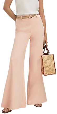 Ann Taylor Women's Statement Palazzo Pants