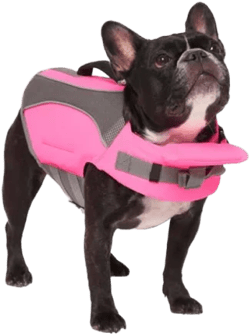 Canada Pooch Wave Rider Dog Life Jacket