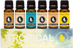 Eternal Essence Oils Tropical Set of 6 Premium Fragrance Oils - Includes Coconut Cream, Bay Rum, Pina Colada, Tahitian Vanilla, Ocean Breeze, and Pineapple Scented Oils - 10ML
