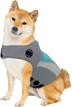 ThunderShirt Dog Anxiety