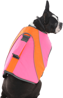 Robin_Bethany's Closet Doggie Life Vest Neon Pink And Orange
