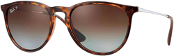 Ray Ban Women's Erika Sunglasses