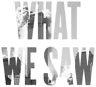 What We Saw: The Events of September 11, 2001 in Words, Pictures, and Video