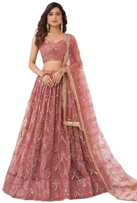 A-Line Lehenga Choli with Thread Net