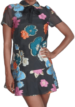 Chloe Mod Floral Dress