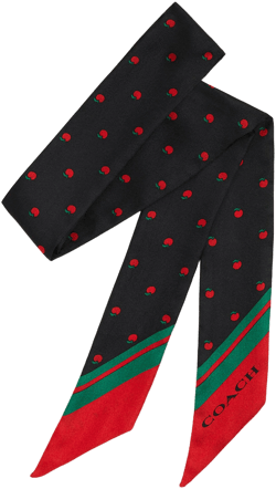 Coach Women's Mini Apple Print Silk Skinny Scarf