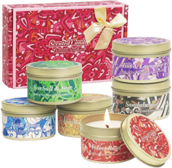 Scented Candles Set, Soy Wax Candle Long Lasting, Tin Candles for Home Fragrance, Gift Set for Christmas, Women, Mother's Day, Birthday, Housewarming, 6 Charming Scents