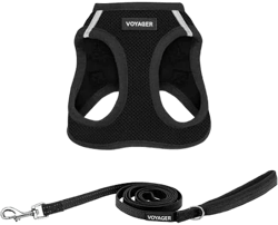 Best Pet Supplies Voyager Step-In Air Dog Harness