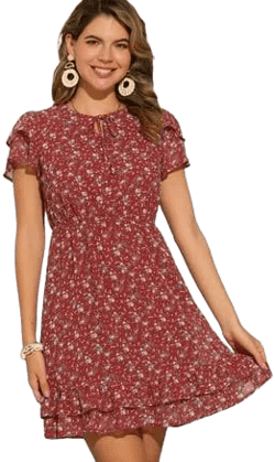 Inspire Chic Women's Ruffle Sleeve V-Neck A-Line Chiffon Dress