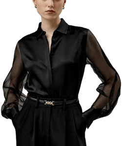 Sheer sleeves satin blouse |Modest fashion Tzinut outfits