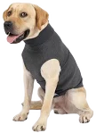 Women's Dog Anxiety Vest