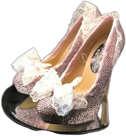 Barbie Women's Inspire High Heel Lace Shoes