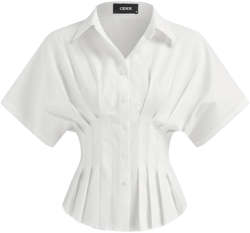 CIDER Women's Linen-Blend Neck Collar Pleated Short Sleeve Office Shirt