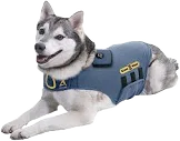 Dog Anxiety Jacket with Relaxing Music and Lavender &Chamomile Scent