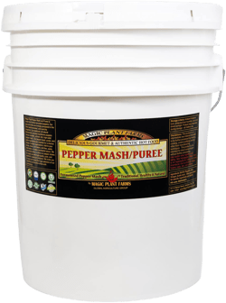 Red Habanero Chili Pepper Mash by Magic Plant – Versatile Hot Base with a Sweet, Aromatic Taste | Fresh Habanero Mash | For Hot Pepper Lovers | Turn up the Heat to any Dish | All Natural (640 oz) Bulk: Spicy and Fruity 640 Fl Oz (Pack of 1)