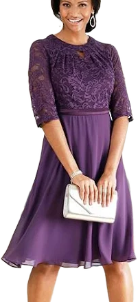 Lace Panel Chiffon Dress