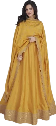 Bollywood Silk Zari Work Gown