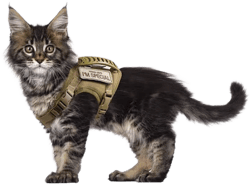 Tactical Cat Harness